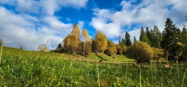 Karpatlar 'ın dağlarında güzel bir sıradağ manzarası, Ukrayna.