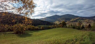 Karpat Dağları 'ndaki sonbahar manzarası. ukraine