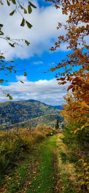 Sonbahar manzarası, renkli ağaçlar ve dağlarda mavi gökyüzü..