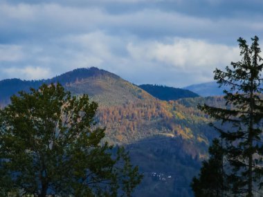 Dağları ve ormanları olan güzel sonbahar manzarası