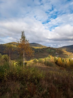 Bir dağ yolu ile sonbahar manzarası