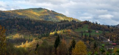Ön planda sonbahar ağaçları olan Karpatya köyü manzarası