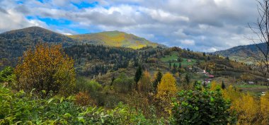 Ağaçlar ve dağlarla dolu sonbahar manzarası