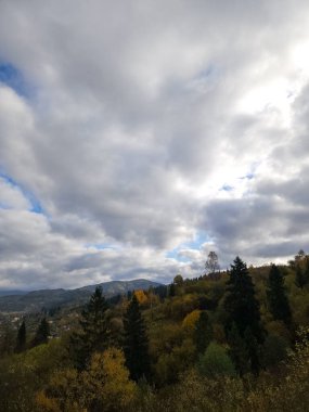 Arkasında bir dağ olan güzel bir manzara.