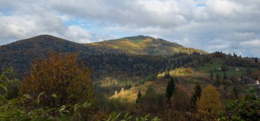 Dağlarda sonbahar manzarası.