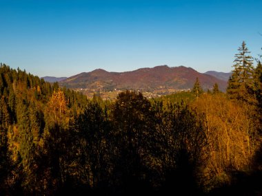 Dağlarda güzel bir sonbahar ormanı