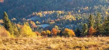 Karpat dağlarında sonbahar