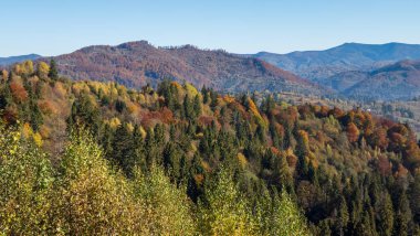 Karpat dağlarında sonbahar