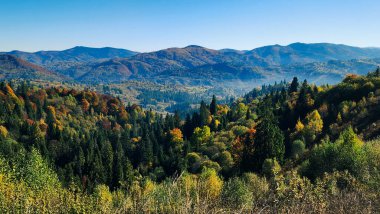 Dağlarda renkli ağaçlarla dolu sonbahar manzarası