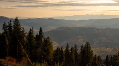 Dağlardaki ağaçların arasından güneş parlıyor..