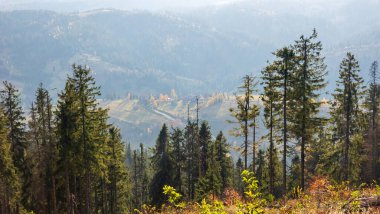 beautiful autumn landscape in mountains