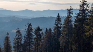 Güneşli bir günde ormanlı güzel bir dağ manzarası. yüksek kaliteli fotoğraf