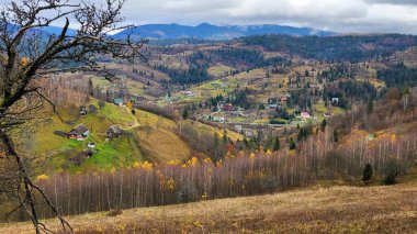 Sonbahar dağ manzarası, dağdaki renkli orman.
