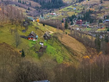 Renkli ağaçlar ve ormanlarla dolu güzel sonbahar manzarası