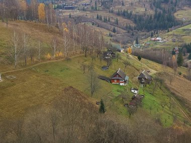 Ağaçlar ve dağlarla dolu sonbahar manzarası. Sonbahar Karpatları.