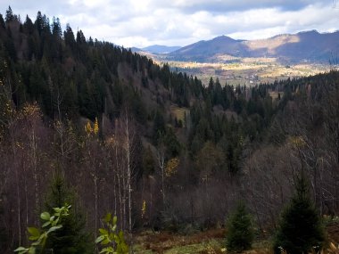 Ormandaki dağ manzarasının güzel bir görüntüsü.