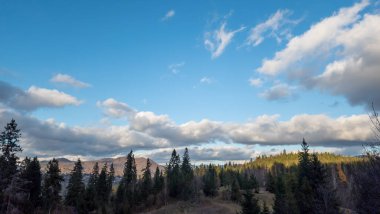 Karpatlar ve Polonya 'daki sıradağların dikey görüntüsü.