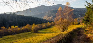 Karpatlar 'da sonbahar manzarası.