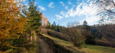 Güneşin ışınları bir dağ yolunda.
