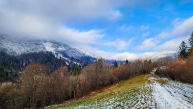 Karpatlar 'da kar ve ormanla kaplı dağ manzarası, kışın Ukrayna