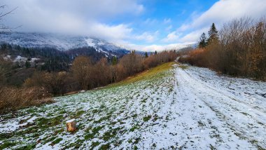 Karlı ve ağaçlı dağ manzarası