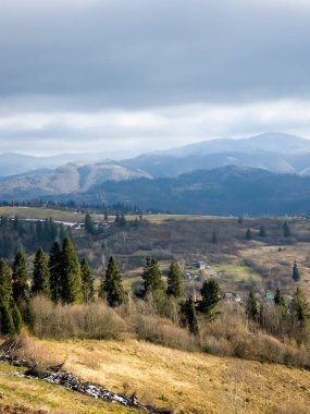 Dağları ve ormanı olan güzel bir manzara.