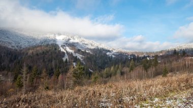 Ukrayna Karpatlar güzel kış manzarası