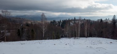 Dağlarda bir ağaçla kış manzarası.