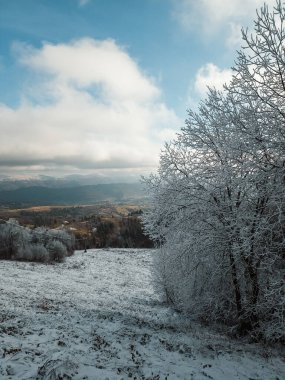 Ağaçları, ormanı ve dağları olan güzel karlı bir manzara.
