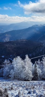 Kış manzarası karla kaplı ağaçlar