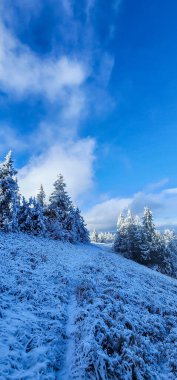 Ormanda bir dağ olan kış manzarası.