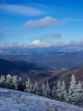 Dağlarda karla kaplı ağaçlarla kaplı güzel kış manzarası