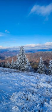 Beyaz karla kaplı güzel dağın dikey görüntüsü.