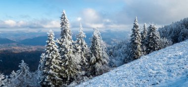 Karpatya dağlarında kış.