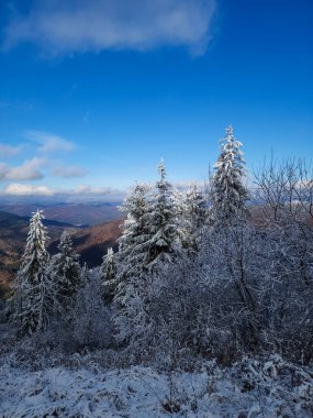 Dağlardaki güzel kış ormanı