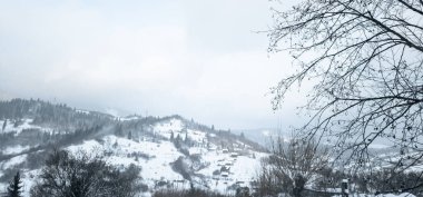 Karla kaplı ağaçlarla kaplı kış manzarası