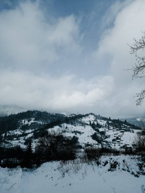 Kışın güzel bir dağ manzarası kırsalda karla kaplı bir ağaç