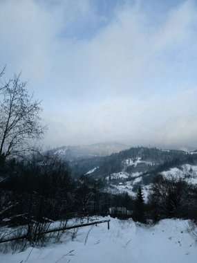 Karlı bir manzaranın güzel bir görüntüsü