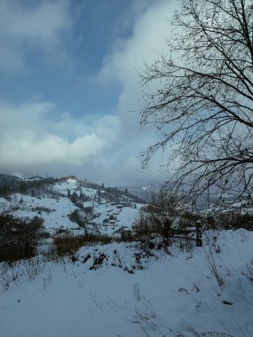 Ormanda karla kaplı dağ manzarasının dikey görüntüsü.