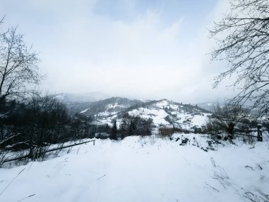 Karda kış manzarası