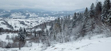 Karlı kış manzarası