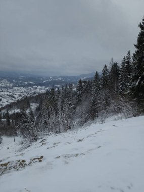 Karlı bir dağın kış manzarası