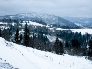 Karla kaplı ağaçlarla kaplı kış manzarası