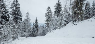 Dağlarda kış manzarası