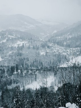 Ormanda kış manzarası