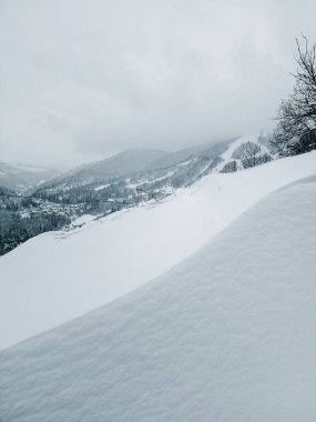 Dağlarda karla kaplı ağaçlar