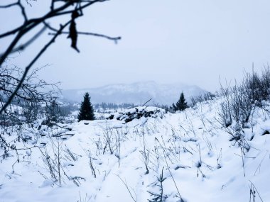 Dağlardaki karlı kış manzarası. Rusya 'daki kış dağı. kar- kaplı dağlar.