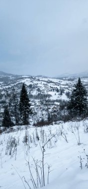 Karla kaplı ağaçlarla kaplı kış manzarası