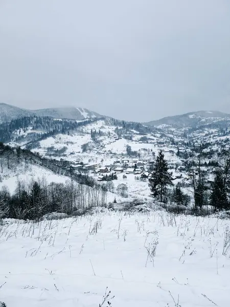Güzel kış manzarası Dağlarda bir köyü karlarla kaplı