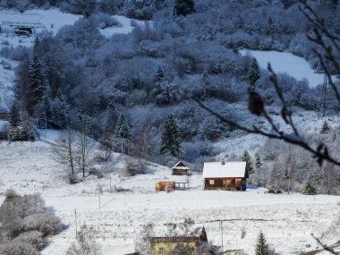 Kış dağ manzarası, dağlarda karla kaplı ormanların güzel manzarası, Avusturalya